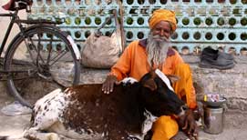 Delhi