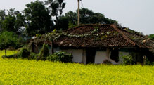 Pench