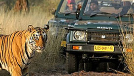 Pench