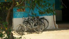 Pench