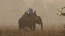 experience encounters asia