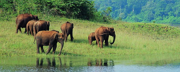experience encounters asia