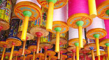 Festivals