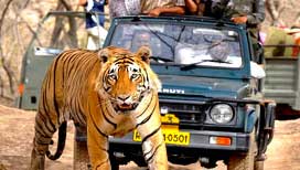 Satpura