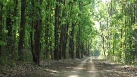 Satpura