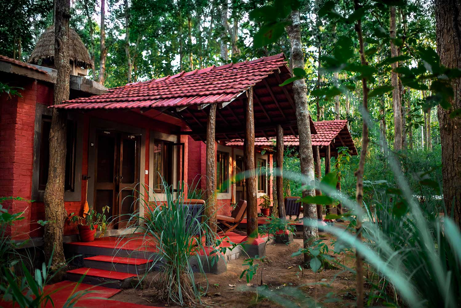 Kanha Jungle Lodge