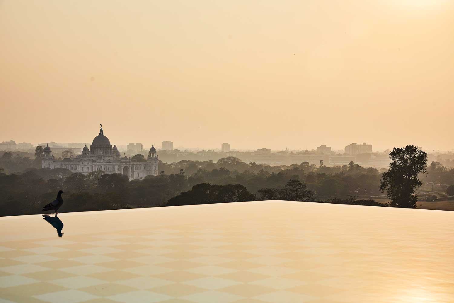 Swimming-Pool-with-bird-Glenburn-Penthouse