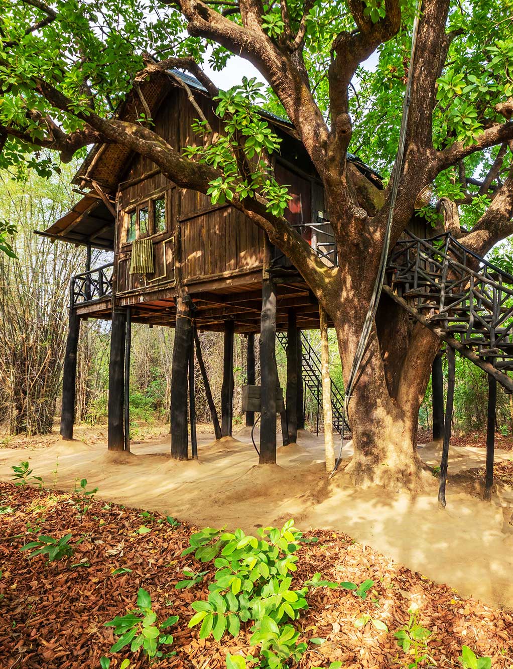 Tree House Hideaway
