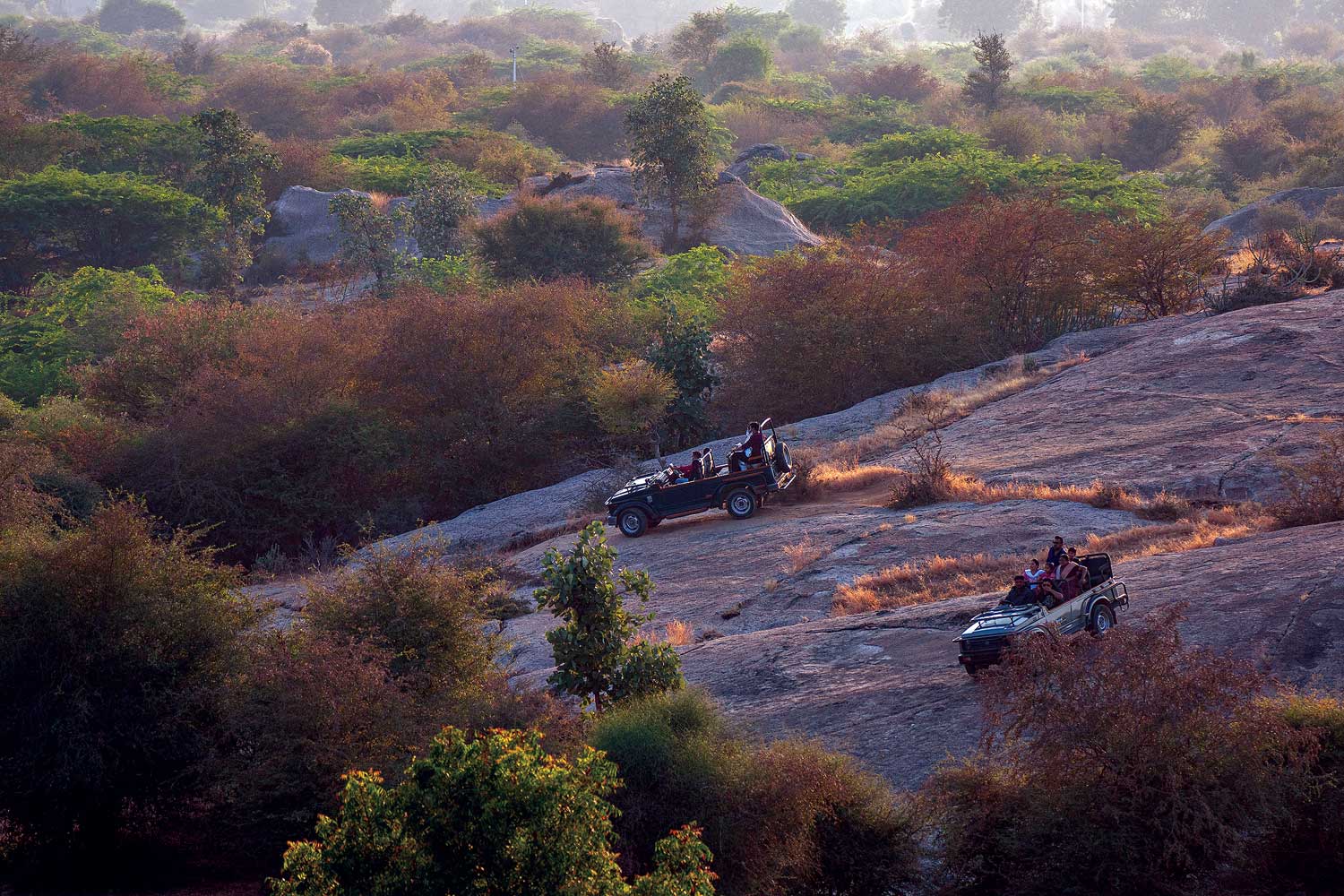 Bera-Safari-Lodge-img2