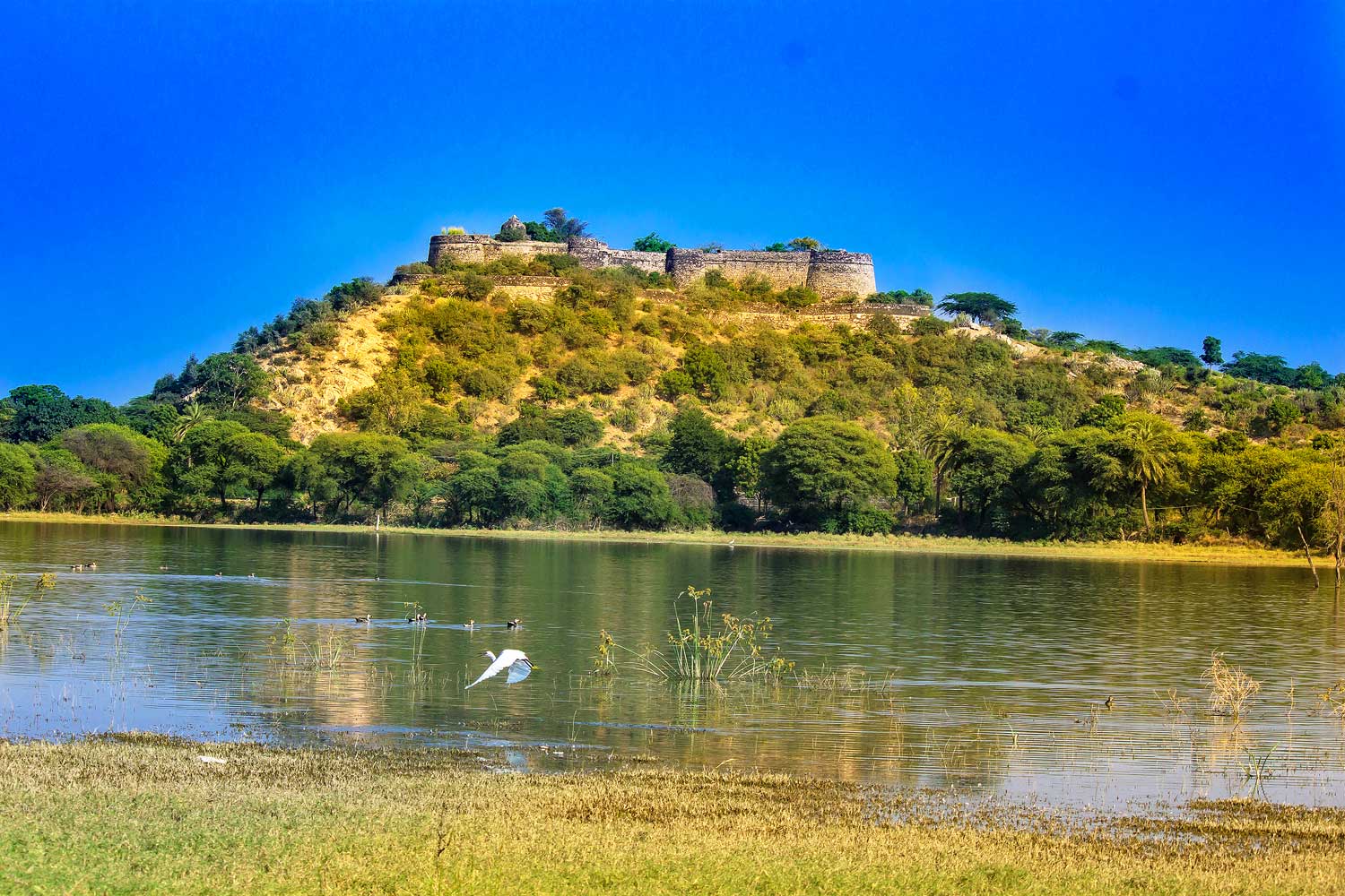 deogarh-devshree-img1