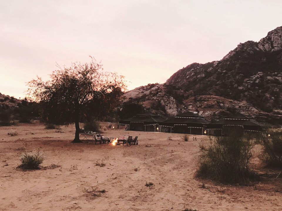 E0547B9B-67C7-496A-A919-45D344BAA5E2