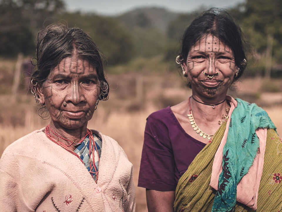 pexels-parij-photography-3678501