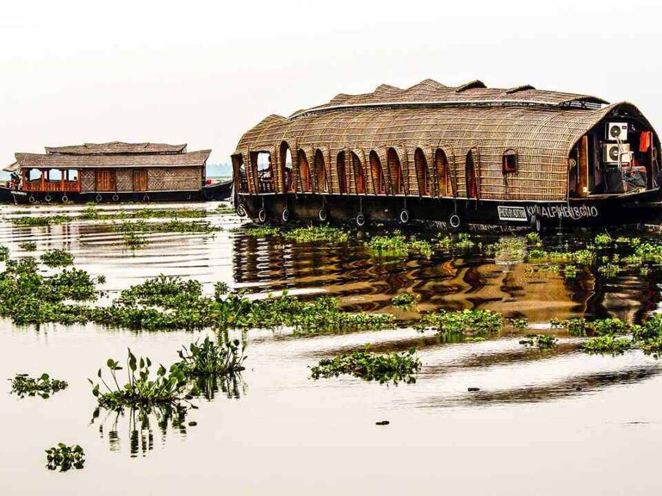 adityan-ramkumar-jq0z9B2KN4A-unsplash