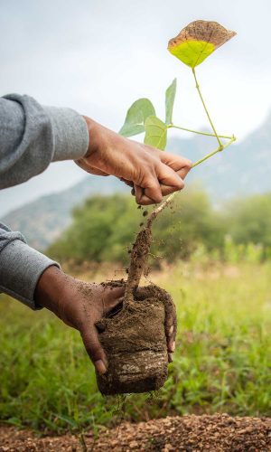 Village-Sustainability3